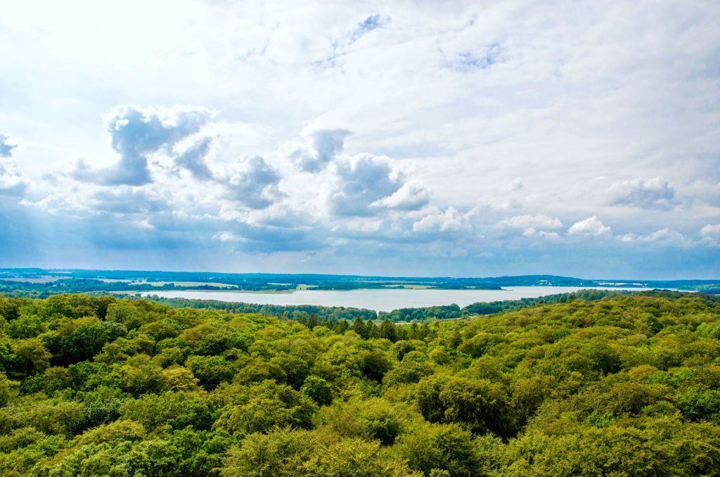 Naturerbefläche Prora